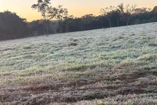 Sensação térmica de -3,8°C congela água e cobre carros com gelo em Dourados
