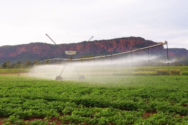 Pantanal Tech MS se consolida como vitrine do agro sustentável, fomento tecnológico e economia criativa
